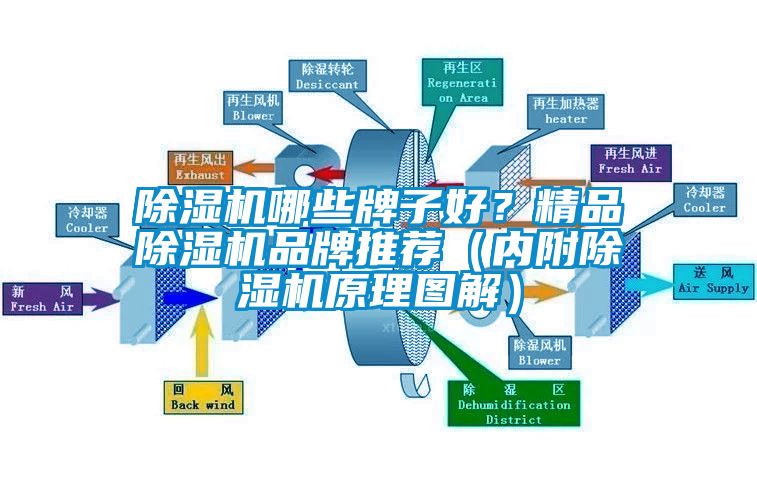 除濕機哪些牌子好？精品除濕機品牌推薦（內附除濕機原理圖解）