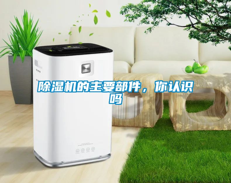 除濕機的主要部件，你認識嗎