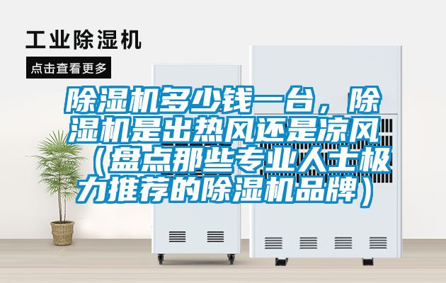 除濕機多少錢一臺，除濕機是出熱風還是涼風（盤點那些專業人士極力推薦的除濕機品牌）