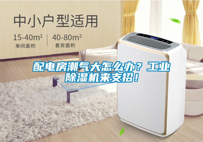 配電房潮氣大怎么辦？工業除濕機來支招！