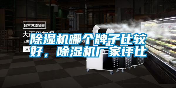 除濕機哪個牌子比較好，除濕機廠家評比