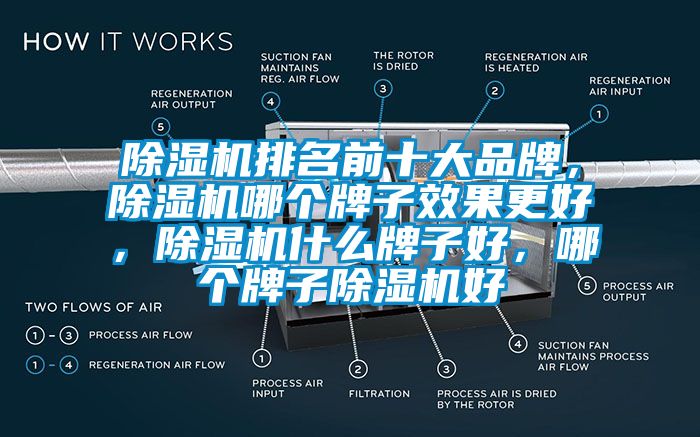 除濕機排名前十大品牌，除濕機哪個牌子效果更好，除濕機什么牌子好，哪個牌子除濕機好
