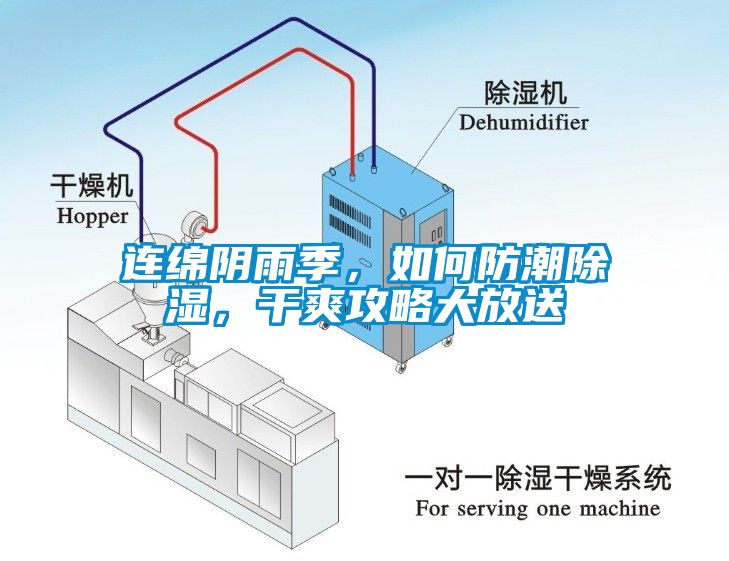 連綿陰雨季，如何防潮除濕，干爽攻略大放送