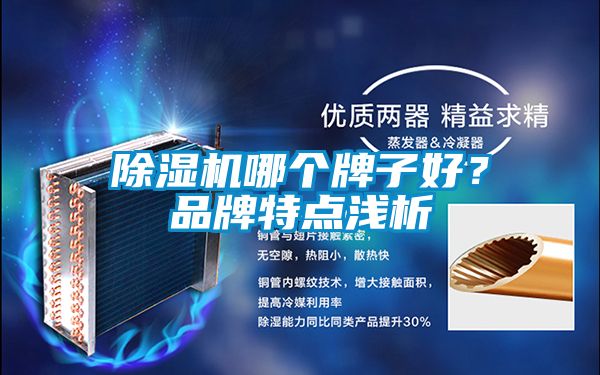 除濕機哪個牌子好？品牌特點淺析