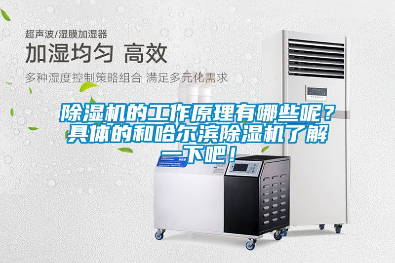 除濕機的工作原理有哪些呢？具體的和哈爾濱除濕機了解一下吧！
