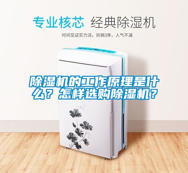 除濕機的工作原理是什么？怎樣選購除濕機？