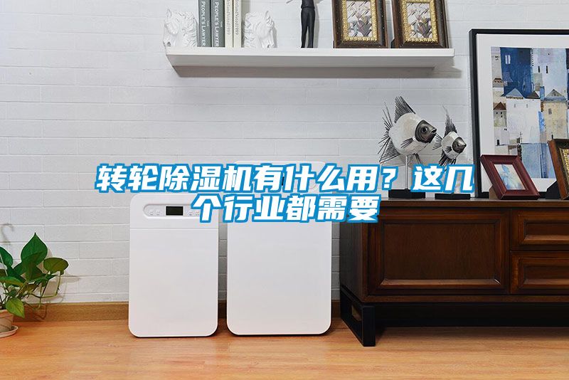 轉輪除濕機有什么用？這幾個行業都需要