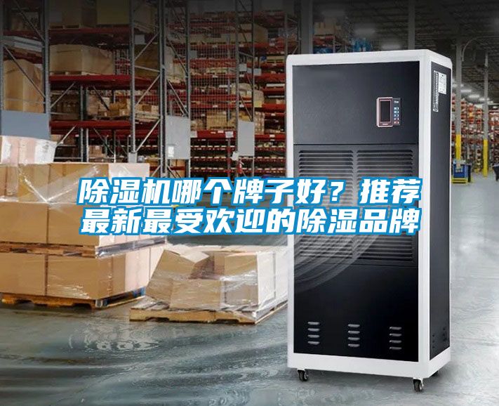 除濕機哪個牌子好？推薦最新最受歡迎的除濕品牌