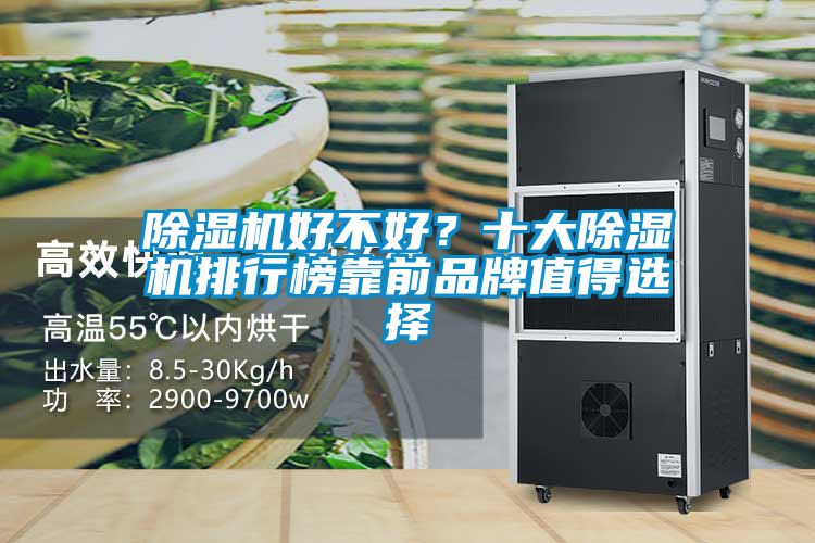 除濕機好不好？十大除濕機排行榜靠前品牌值得選擇