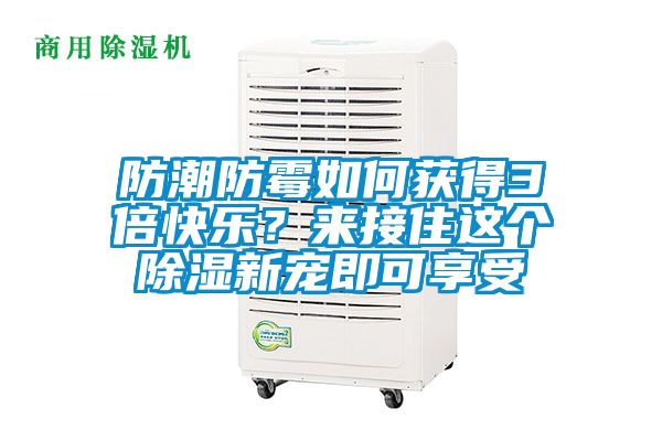 防潮防霉如何獲得3倍快樂？來接住這個除濕新寵即可享受
