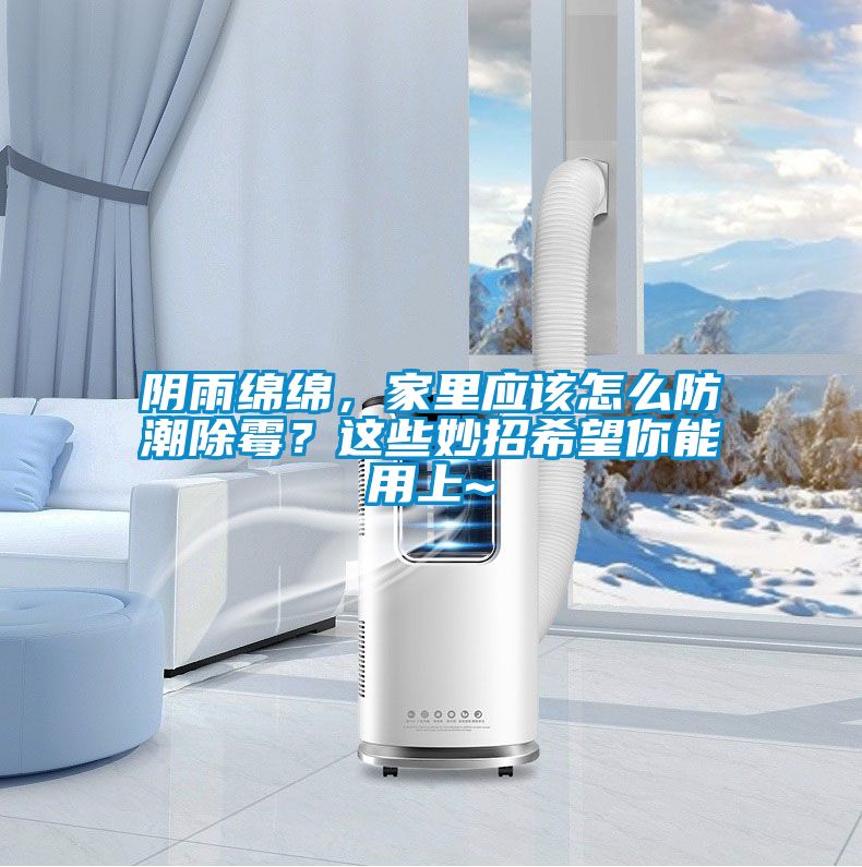 陰雨綿綿，家里應該怎么防潮除霉？這些妙招希望你能用上~