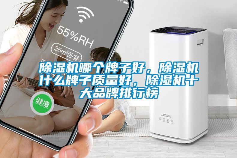 除濕機哪個牌子好，除濕機什么牌子質量好，除濕機十大品牌排行榜