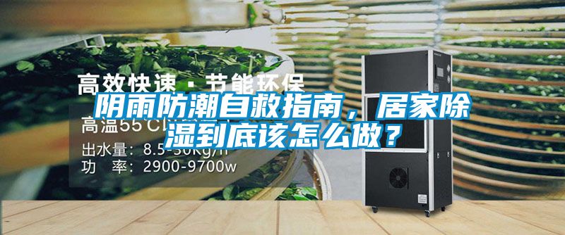 陰雨防潮自救指南，居家除濕到底該怎么做？