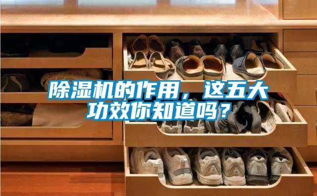 除濕機的作用，這五大功效你知道嗎？