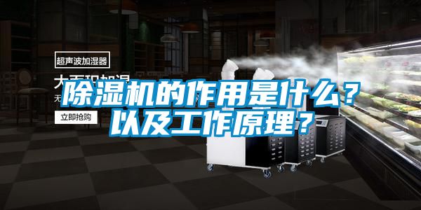 除濕機的作用是什么？以及工作原理？