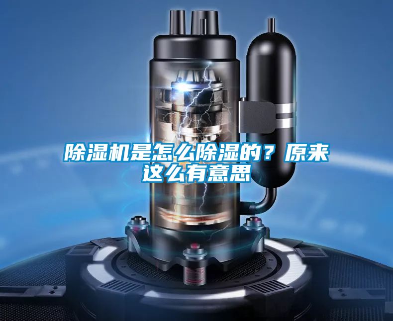 除濕機是怎么除濕的？原來這么有意思