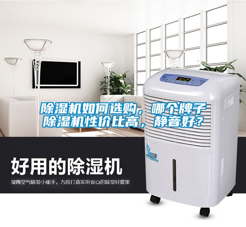 除濕機如何選購，哪個牌子除濕機性價比高，靜音好？