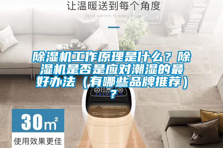 除濕機工作原理是什么？除濕機是否是應對潮濕的最好辦法（有哪些品牌推薦）？