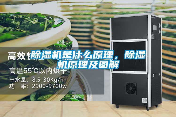 除濕機是什么原理，除濕機原理及圖解