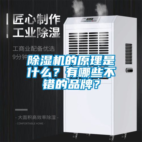 除濕機的原理是什么？有哪些不錯的品牌？