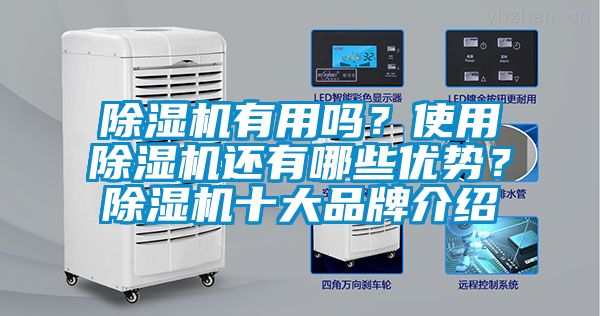 除濕機有用嗎？使用除濕機還有哪些優勢？除濕機十大品牌介紹