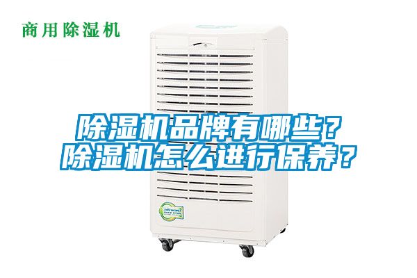 除濕機品牌有哪些？除濕機怎么進行保養？