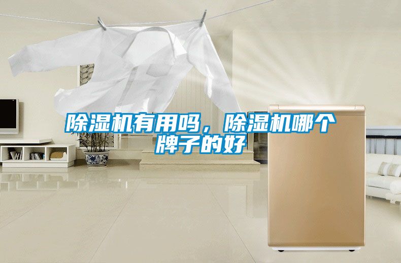 除濕機有用嗎，除濕機哪個牌子的好
