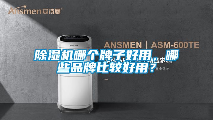 除濕機哪個牌子好用，哪些品牌比較好用？