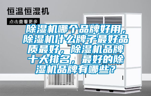 除濕機哪個品牌好用，除濕機什么牌子最好品質最好，除濕機品牌十大排名，最好的除濕機品牌有哪些？