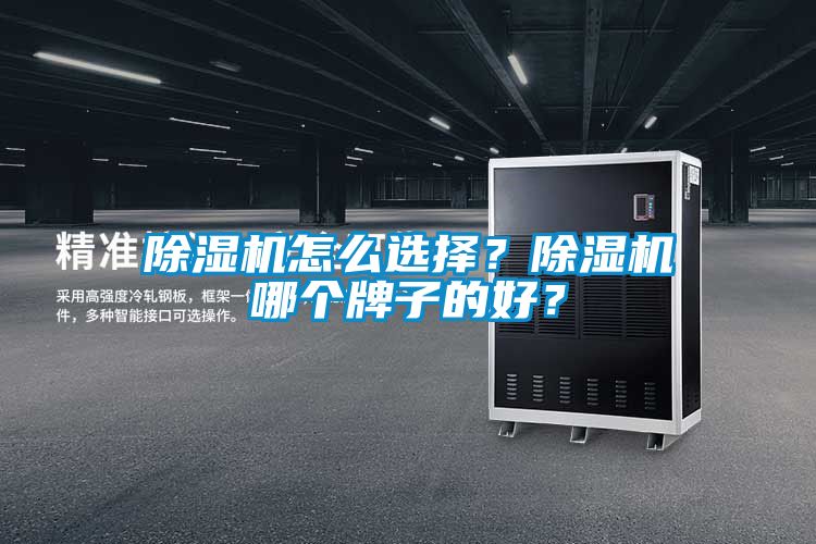 除濕機怎么選擇？除濕機哪個牌子的好？
