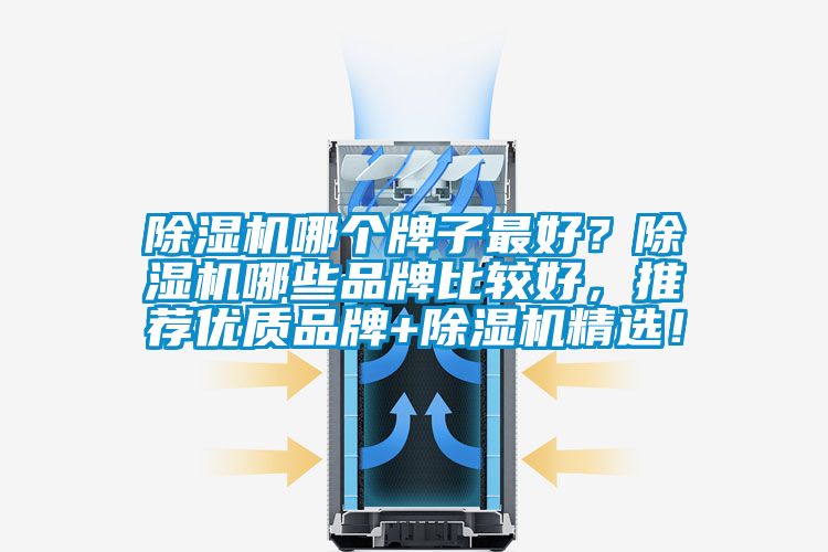 除濕機哪個牌子最好？除濕機哪些品牌比較好，推薦優質品牌+除濕機精選！