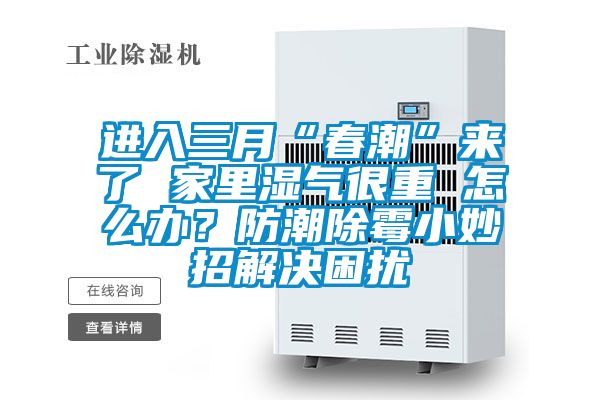 進入三月“春潮”來了 家里濕氣很重 怎么辦？防潮除霉小妙招解決困擾