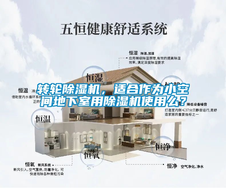轉輪除濕機，適合作為小空間地下室用除濕機使用么？