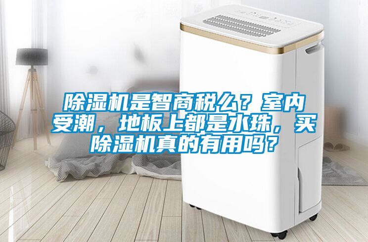 除濕機是智商稅么？室內受潮，地板上都是水珠，買除濕機真的有用嗎？