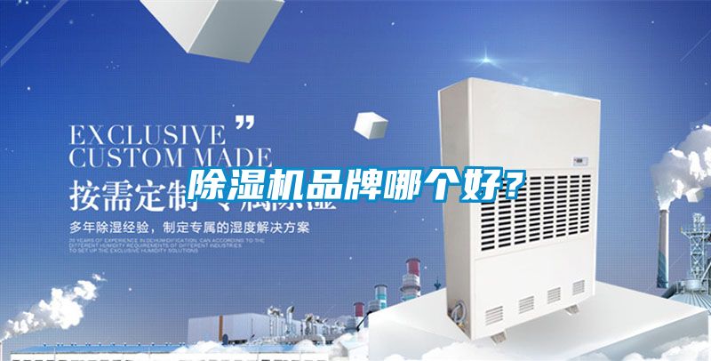 除濕機品牌哪個好？