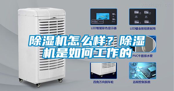 除濕機怎么樣？除濕機是如何工作的