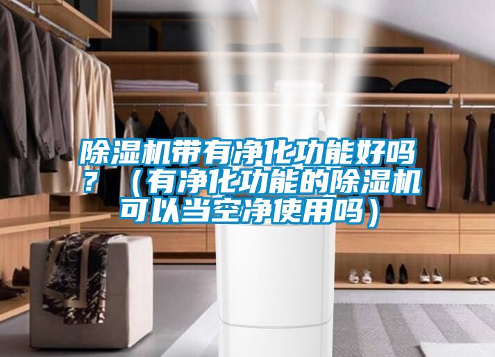除濕機帶有凈化功能好嗎？（有凈化功能的除濕機可以當空凈使用嗎）