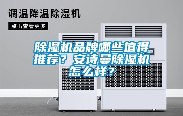 除濕機品牌哪些值得推薦？安詩曼除濕機怎么樣？