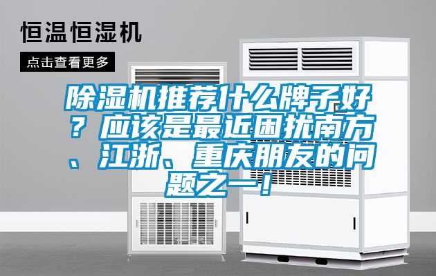 除濕機推薦什么牌子好？應該是最近困擾南方、江浙、重慶朋友的問題之一！