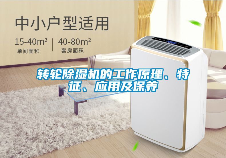 轉輪除濕機的工作原理、特征、應用及保養