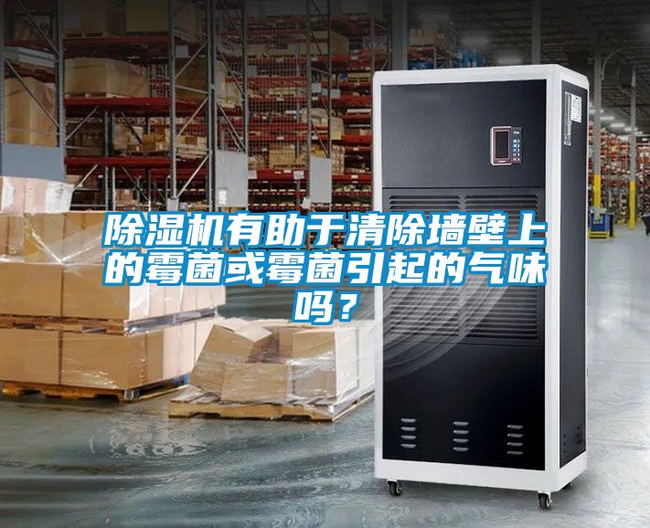 除濕機有助于清除墻壁上的霉菌或霉菌引起的氣味嗎？