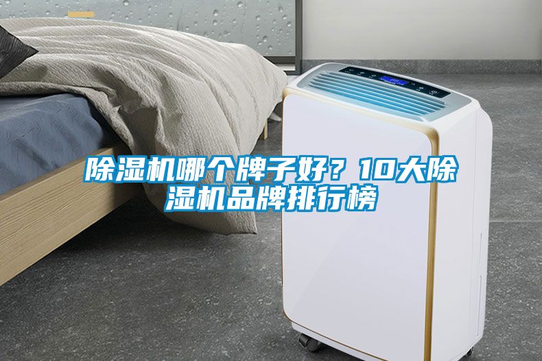 除濕機哪個牌子好？10大除濕機品牌排行榜
