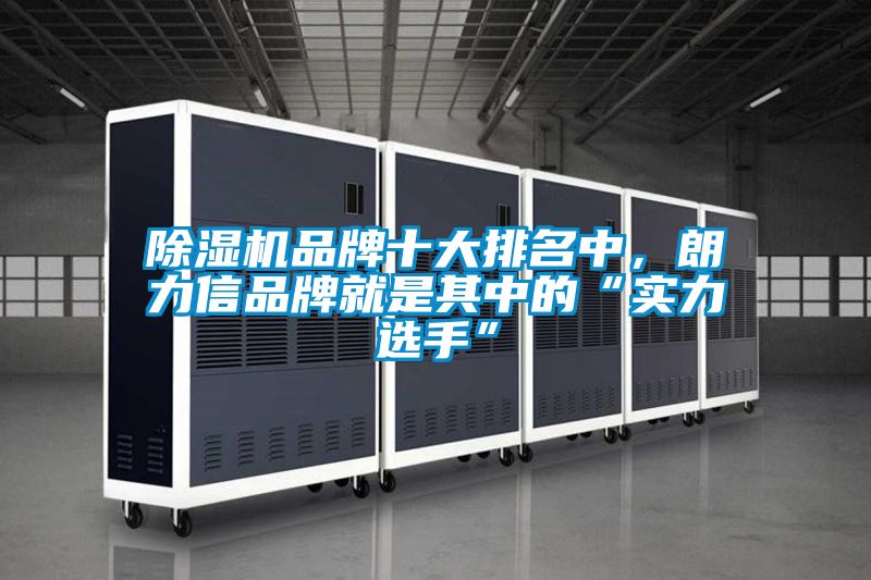 除濕機品牌十大排名中，朗力信品牌就是其中的“實力選手”