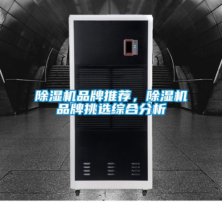 除濕機品牌推薦，除濕機品牌挑選綜合分析