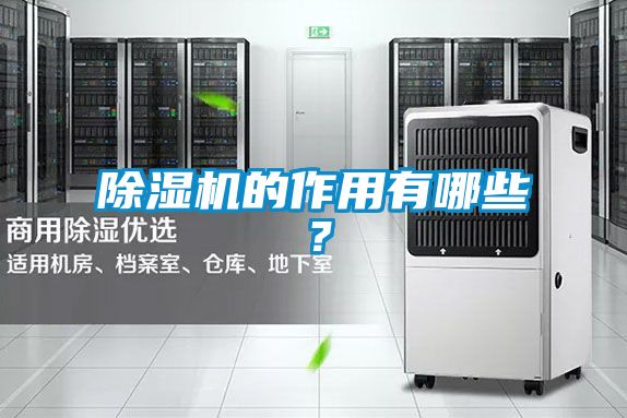 除濕機的作用有哪些？