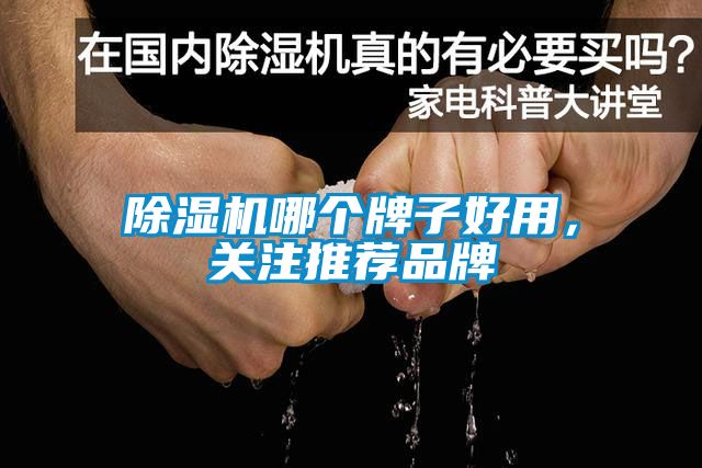 除濕機哪個牌子好用，關注推薦品牌