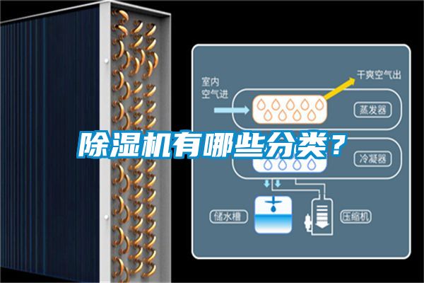 除濕機有哪些分類？