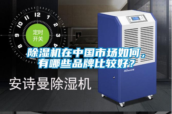 除濕機在中國市場如何，有哪些品牌比較好？
