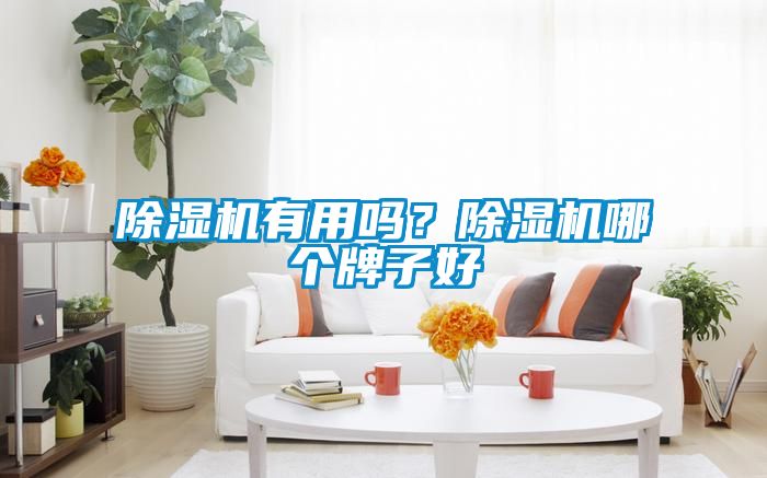 除濕機有用嗎？除濕機哪個牌子好