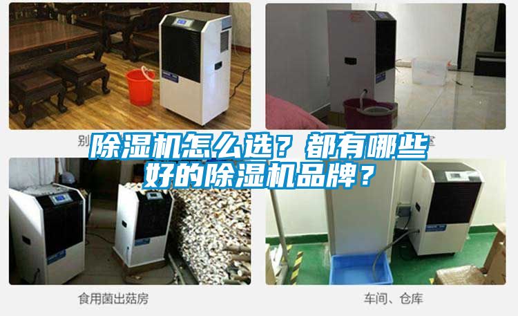 除濕機怎么選？都有哪些好的除濕機品牌？